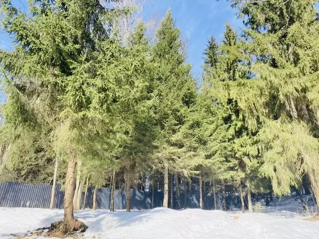 Участок в Московская область, Одинцовский городской округ, Каретный ... - Фото 2