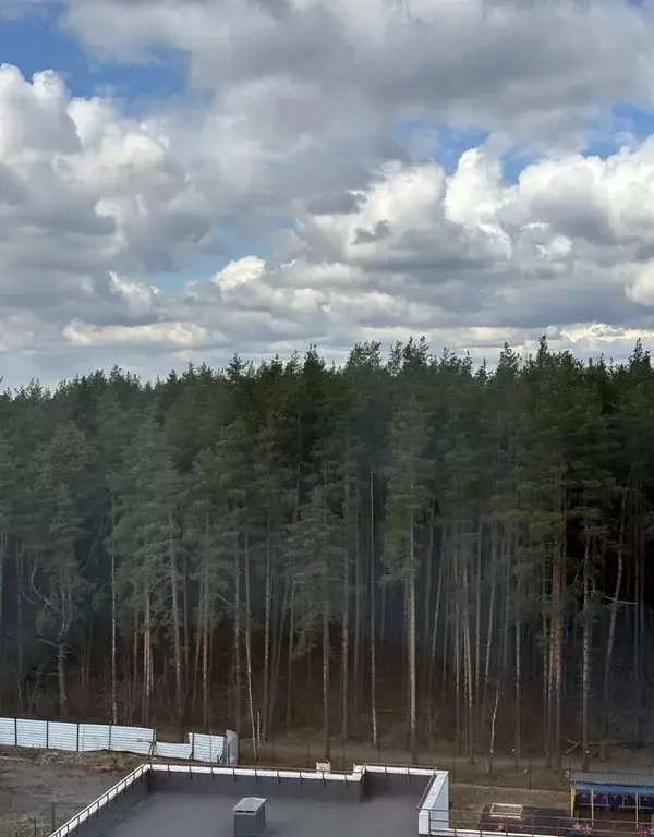 2-к кв. Ленинградская область, Всеволожск Южный мкр, ул. Доктора ... - Фото 1