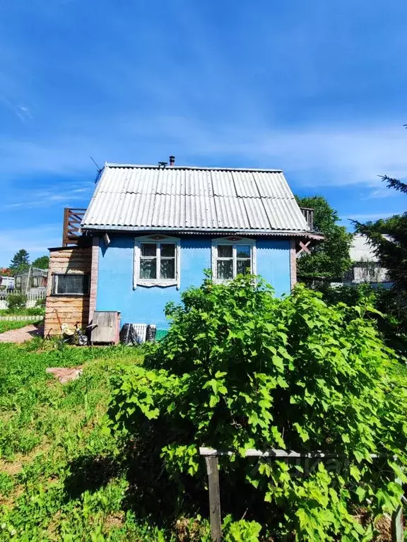 Участок в Камчатский край, Елизовский район, Звезда СНТ  (5.0 сот.) - Фото 1
