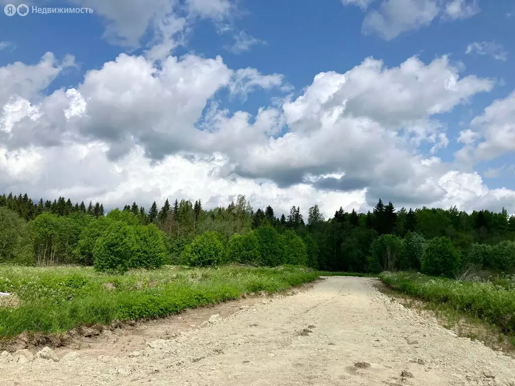 Участок в Лопухинское сельское поселение, деревня Новая Буря, ... - Фото 1