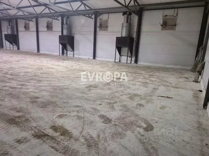 Склад в Ульяновская область, Ульяновск городской округ, с. Луговое ул. ... - Фото 2