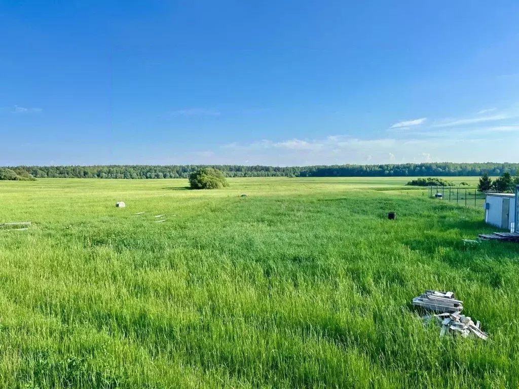 Участок в Ленинградская область, Тосненский район, Форносовское ... - Фото 0