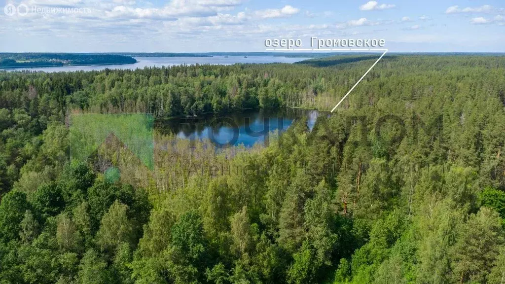Участок в Громовское сельское поселение (15 м) - Фото 0