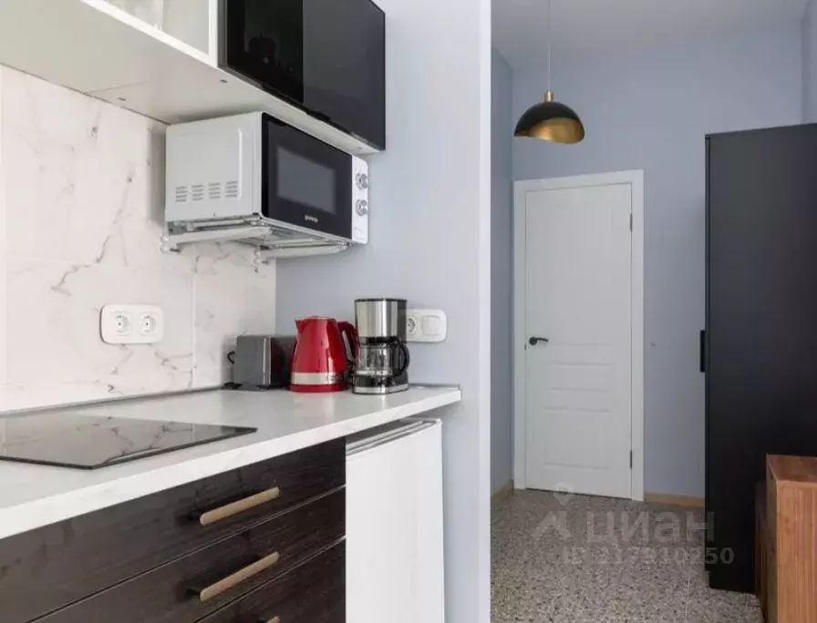 Студия Санкт-Петербург наб. Адмиралтейского Канала, 25 (29.0 м) - Фото 1
