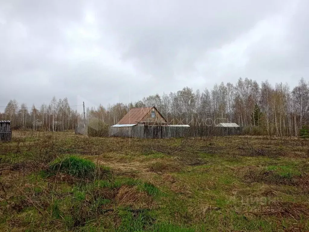 Участок в Тюменская область, Тюменский муниципальный округ, Красная ... - Фото 1