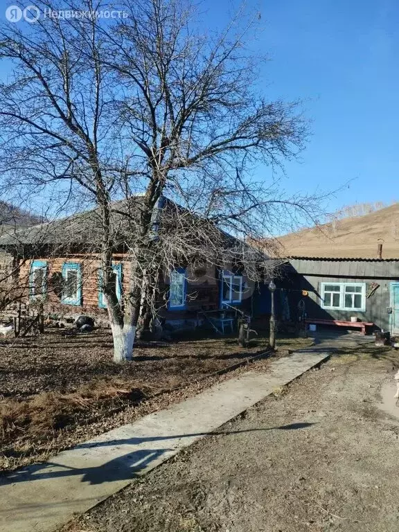 Дом в Камлак, Алтайская улица (40.6 м) - Фото 1