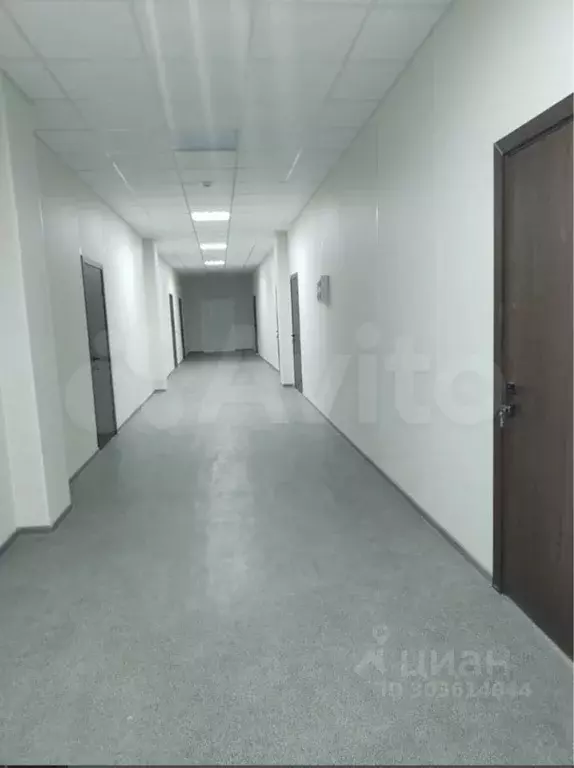 Офис в Ростовская область, Таганрог Инструментальная ул., 2 (249 м) - Фото 2
