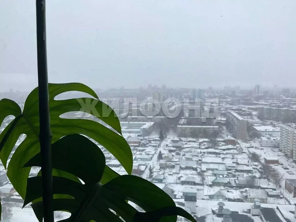 1-к кв. Новосибирская область, Новосибирск Волховская ул., 37 (46.1 м) - Фото 1