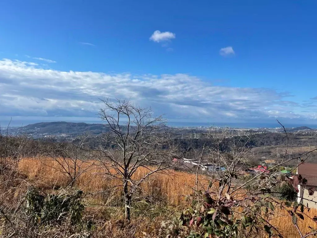 Дом в Краснодарский край, Сочи городской округ, с. Черешня ул. ... - Фото 1