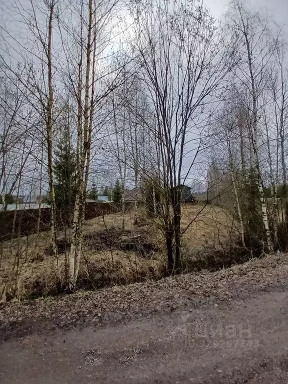 Участок в Московская область, Клин городской округ, д. Мисирево  (15.6 ... - Фото 1