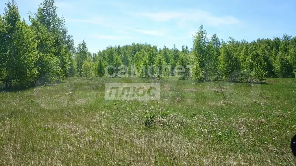 Участок 18,5 сот. (ИЖС) - Фото 1