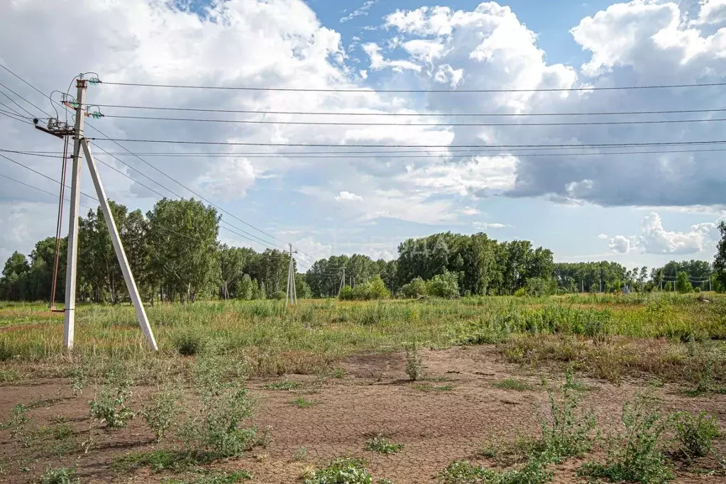 Участок в Новосибирская область, Новосибирский район, с. Ярково  (8.0 ... - Фото 1