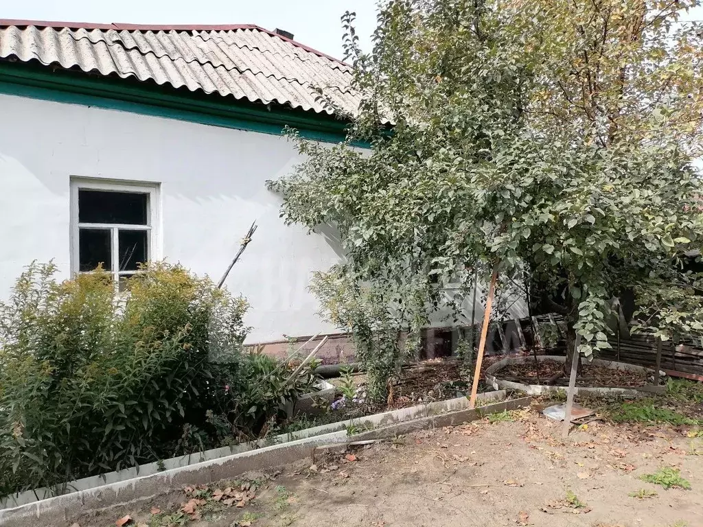 Дом в Алтайский край, Рубцовск ул. Лизы Чайкиной (54 м) - Фото 1