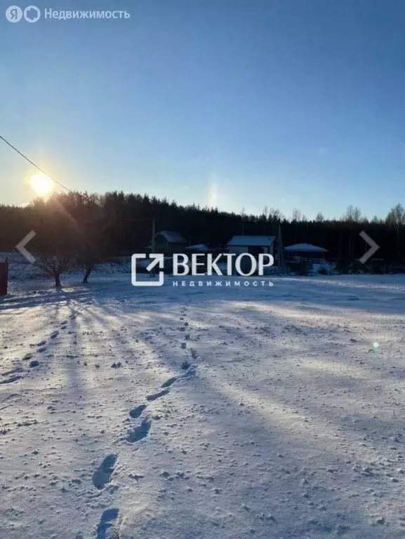 Участок в Кострома, СНТ Ручеёк, 31 (12 м) - Фото 1