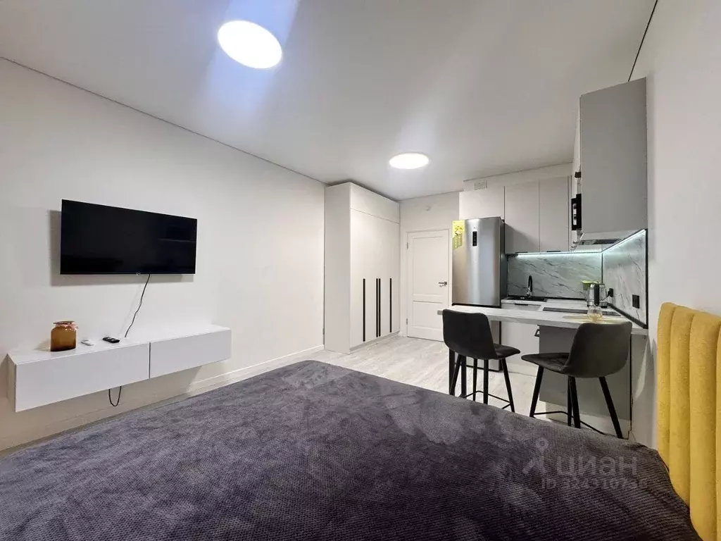 Студия Санкт-Петербург Дальневосточный просп., 19к1 (25.0 м) - Фото 2