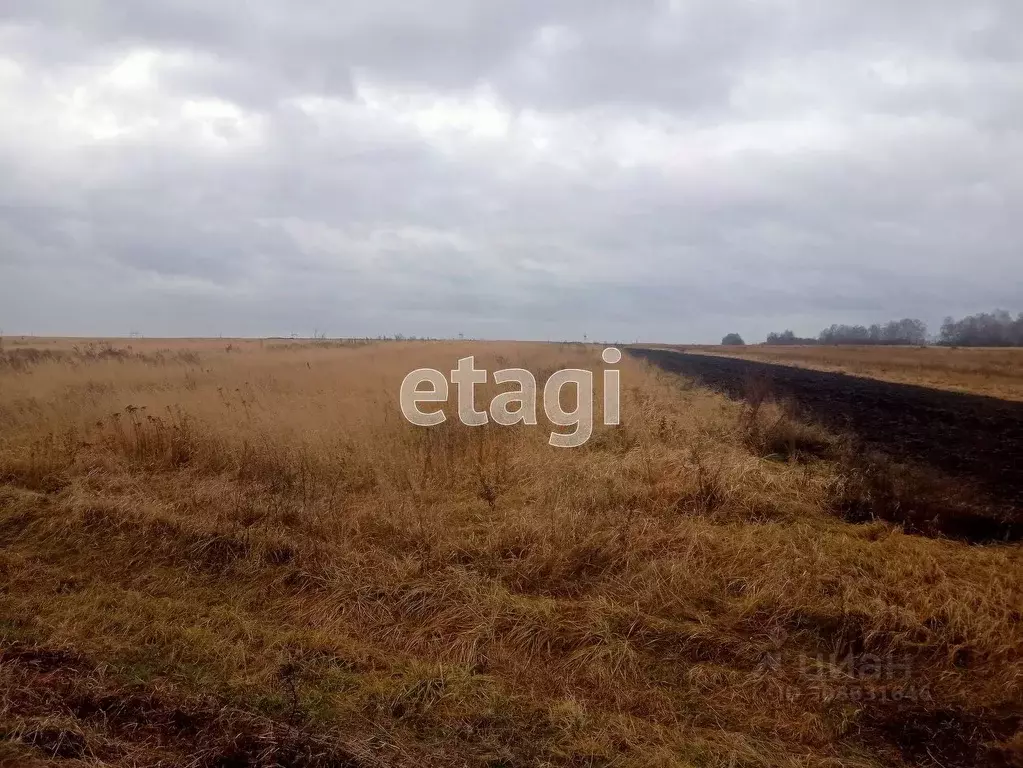 Участок в Брянская область, Жирятинское с/пос, с. Савлуково ул. ... - Фото 1