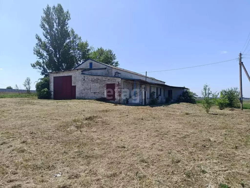 Производственное помещение в Белгородская область, Вейделевка рп ул. ... - Фото 1