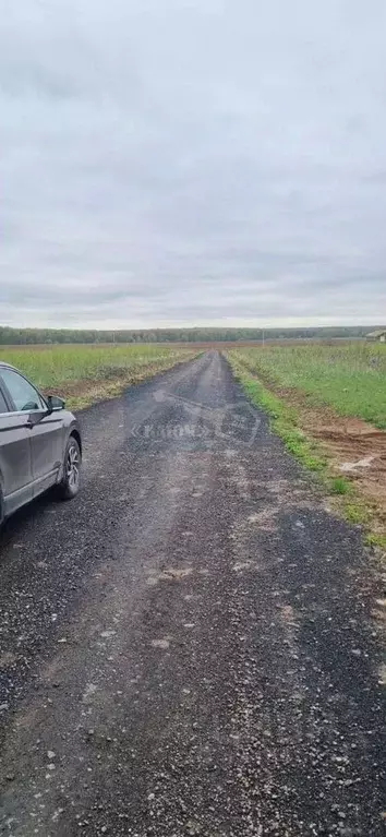 Участок в Московская область, Домодедово городской округ, с. Юсупово  ... - Фото 2