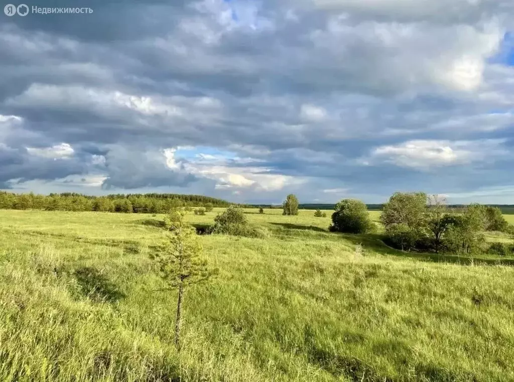 Участок в Тереньгульский район, Подкуровское сельское поселение (10.05 ... - Фото 1