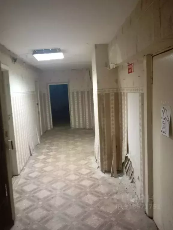 Помещение свободного назначения в Брянская область, Брянск ул. Фокина, ... - Фото 0