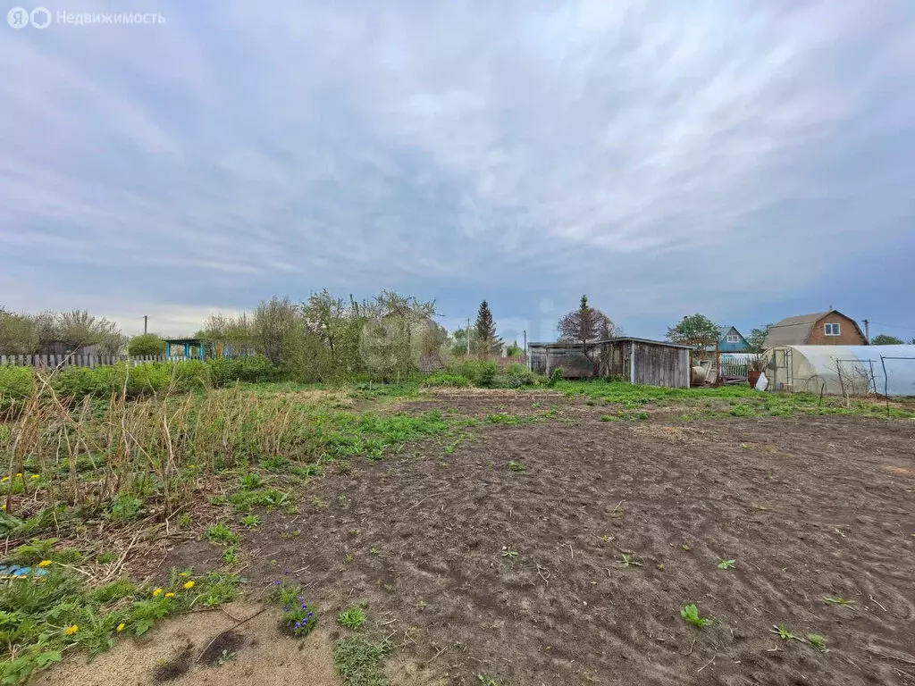 Участок в Омский район, Богословское сельское поселение, СНТ ... - Фото 0