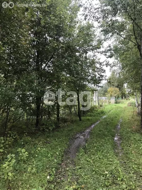 Участок в Дмитровский городской округ, СНТ Соколово (10 м) - Фото 0