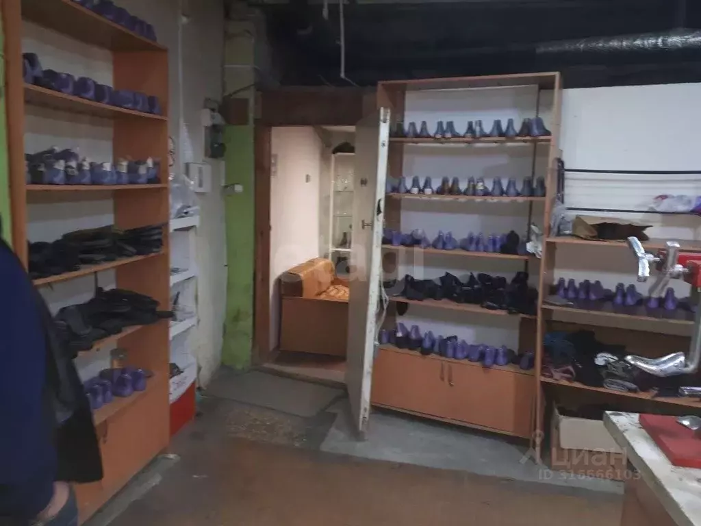 Помещение свободного назначения в Брянская область, Брянск Харьковская ... - Фото 1