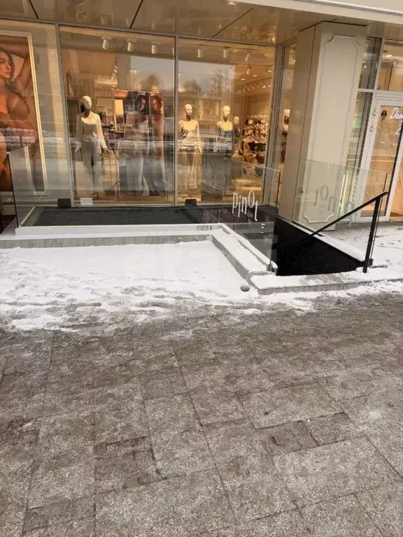 Помещение свободного назначения в Новосибирская область, Новосибирск ... - Фото 1