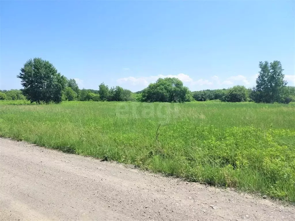 Участок в Хабаровский край, Хабаровский район, Усадьба 2-й километр ... - Фото 1