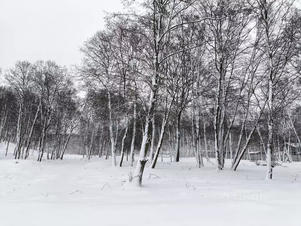 Участок в Московская область, Дмитровский муниципальный округ, д. ... - Фото 1