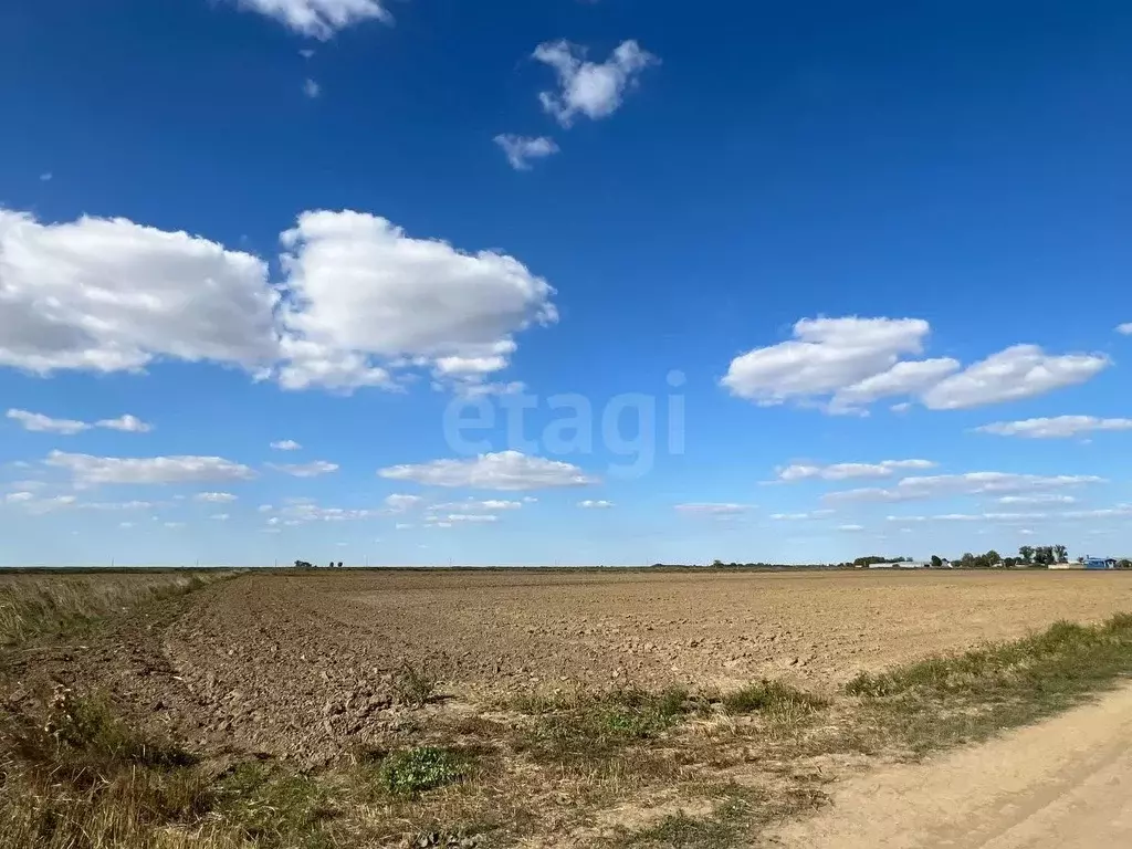 Участок в Краснодарский край, Славянский район, Петровское с/пос, ... - Фото 2