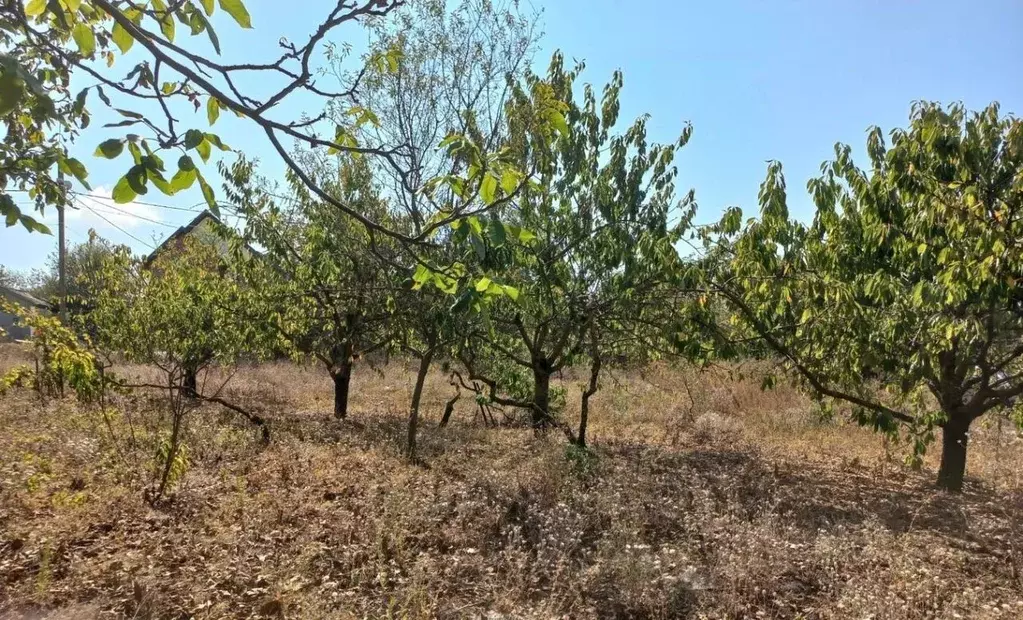 Участок в Краснодарский край, Анапа муниципальный округ, с. Варваровка ... - Фото 2