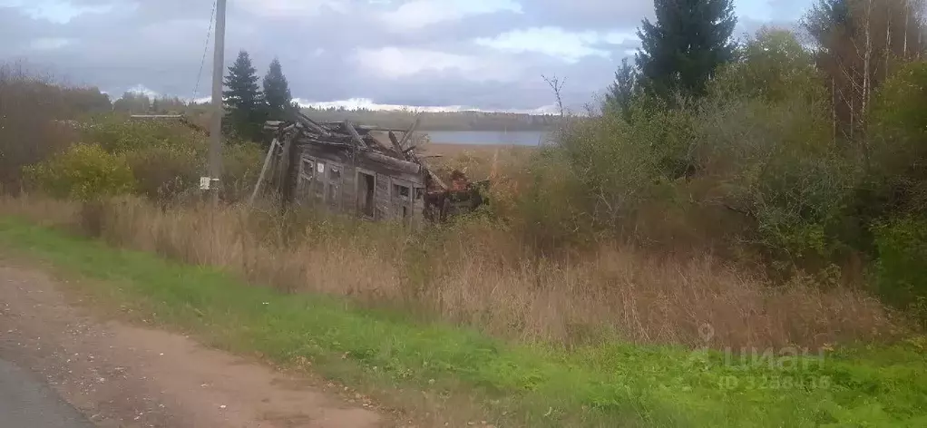 Участок в Новгородская область, Валдайский район, Ивантеевское с/пос, ... - Фото 0