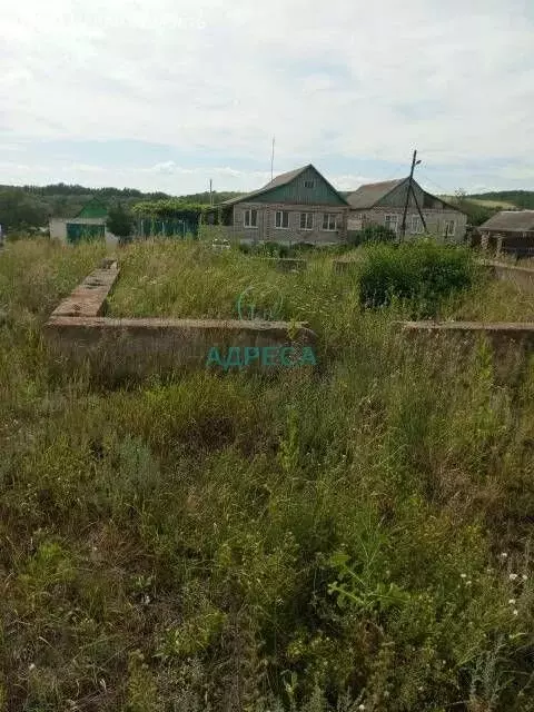 Участок в Ездочное, Первомайская улица (14 м) - Фото 1