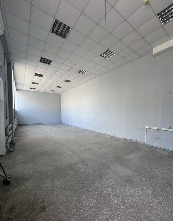 Торговая площадь в Краснодарский край, Анапа ул. Чехова, 81 (85 м) - Фото 2