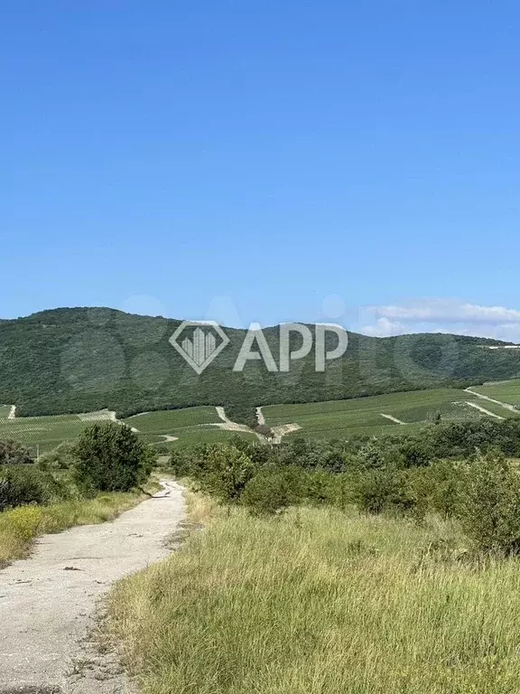 Участок 33,57 га (СНТ, ДНП) - Фото 1