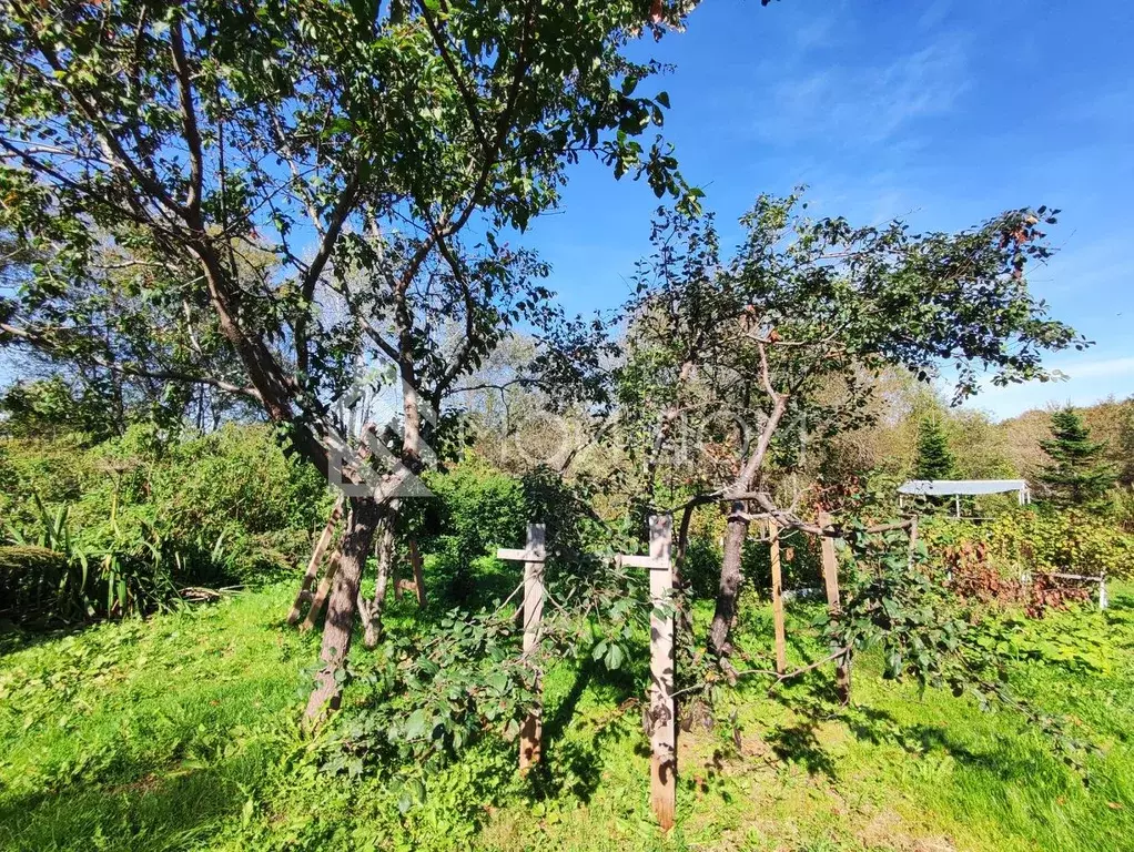 Участок в Сахалинская область, Долинск Курильская ул., 5 (16.73 сот.) - Фото 2