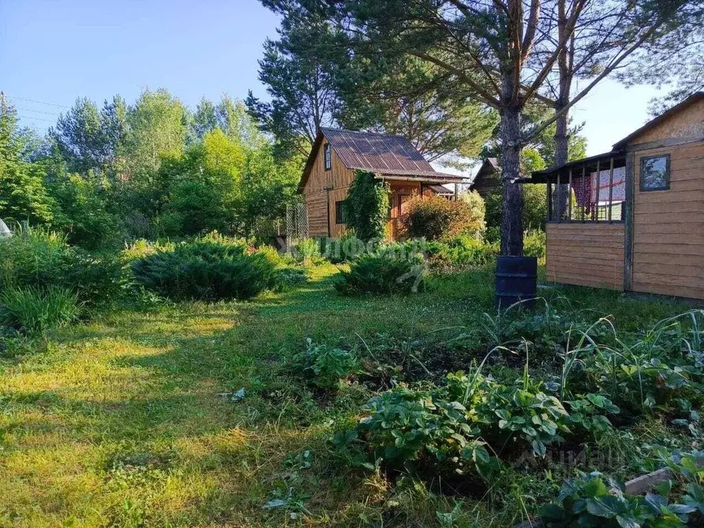 Дом в Новосибирская область, Мошковский район, Зодчий СНТ  (25 м) - Фото 0