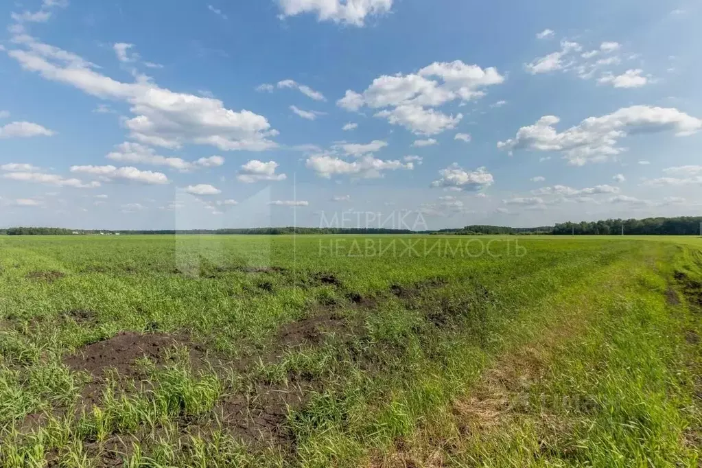 Участок в Тюменская область, Тюменский муниципальный округ, ... - Фото 1