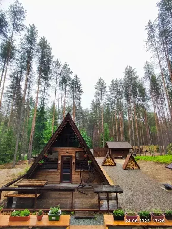 Дом в Карелия, Медвежьегорск ул. Магистральная, 21А (42 м) - Фото 1