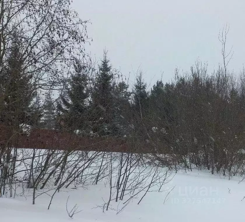 Участок в Московская область, Дмитровский муниципальный округ, д. ... - Фото 1