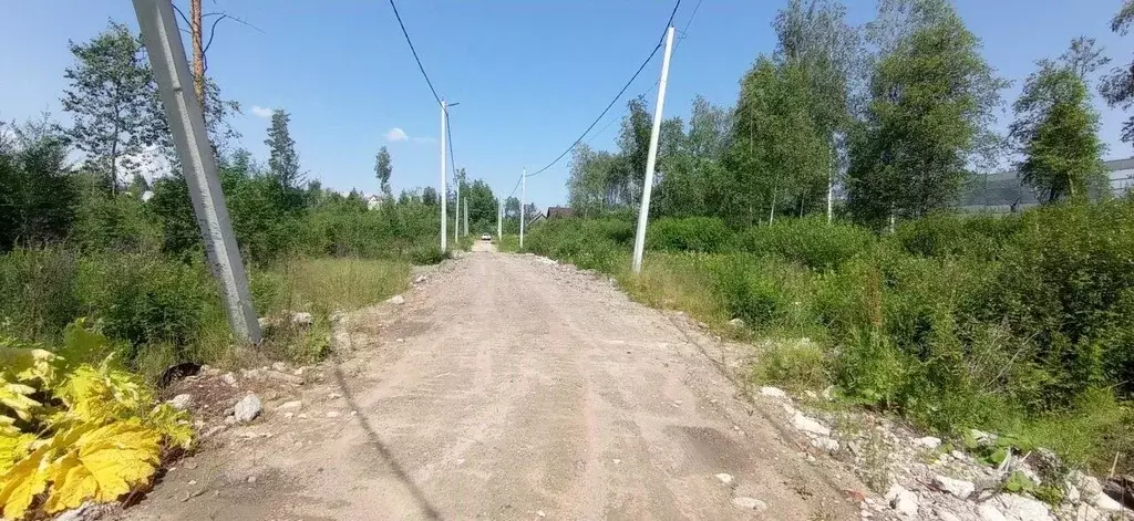 Участок в Ленинградская область, Всеволожский район, Куйвозовское ... - Фото 1