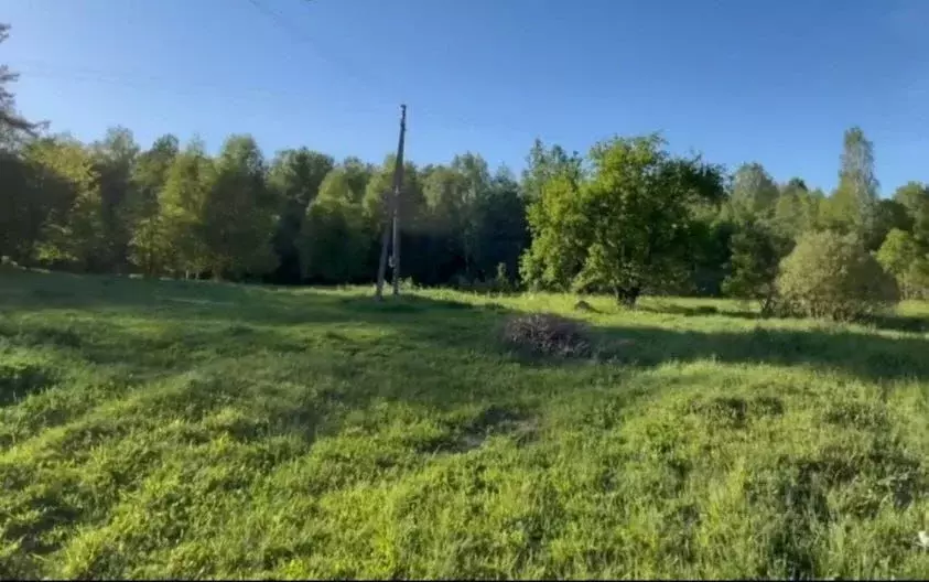 Участок в Псковская область, Стругокрасненский район, д. Творожково  ... - Фото 0