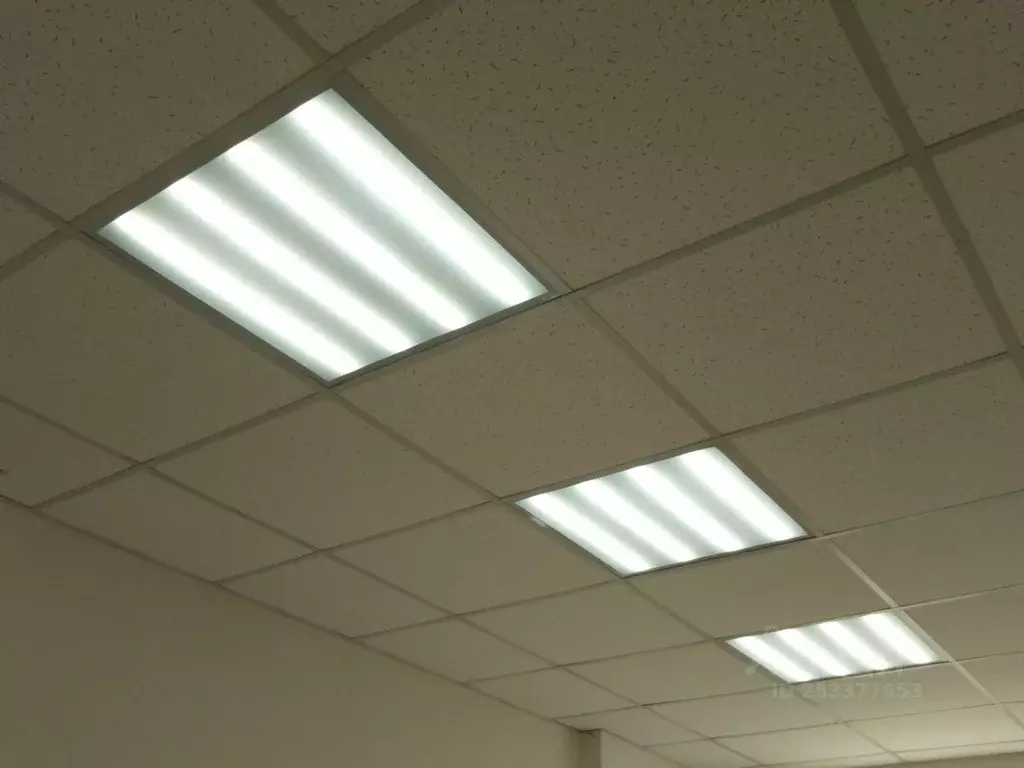 Помещение свободного назначения в Краснодарский край, Краснодар ул. ... - Фото 1