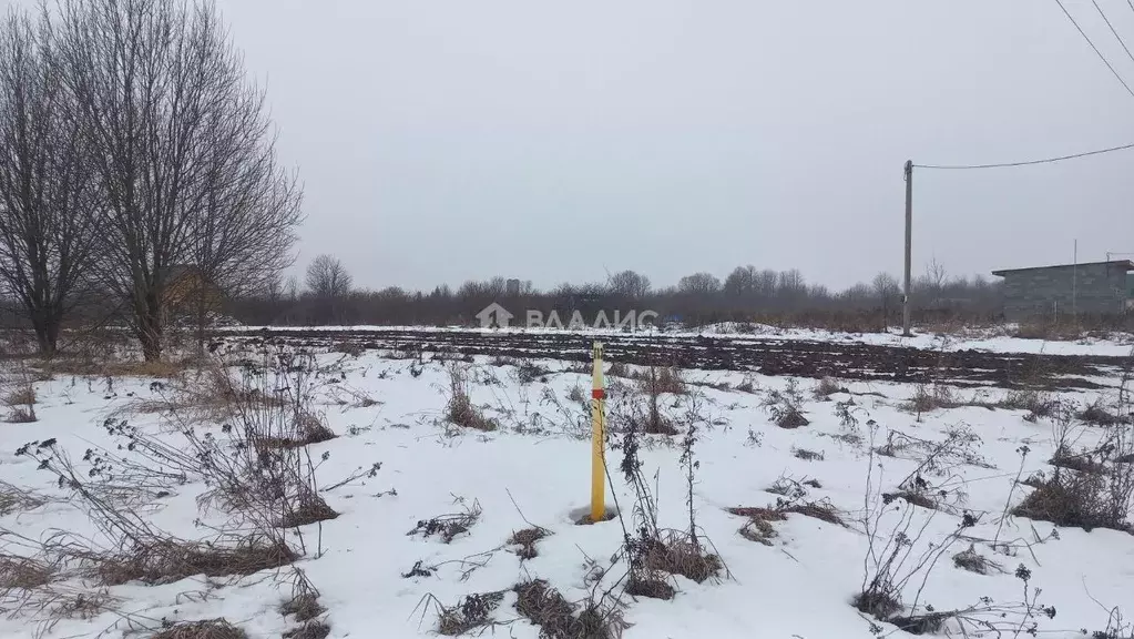 Участок в Владимирская область, Суздальский район, Боголюбовское ... - Фото 0