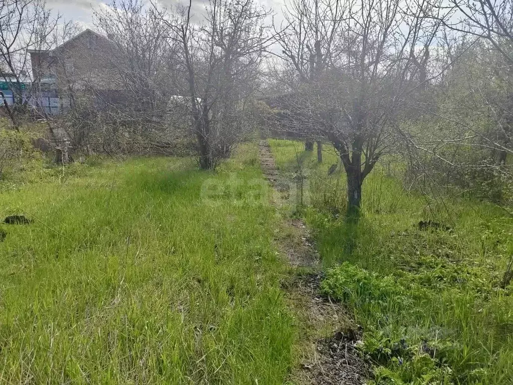 Участок в Ростовская область, Новочеркасск № 16 садовое товарищество, ... - Фото 1