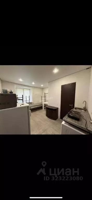 Студия Липецкая область, Липецк ул. Вермишева, 14 (11.0 м) - Фото 1