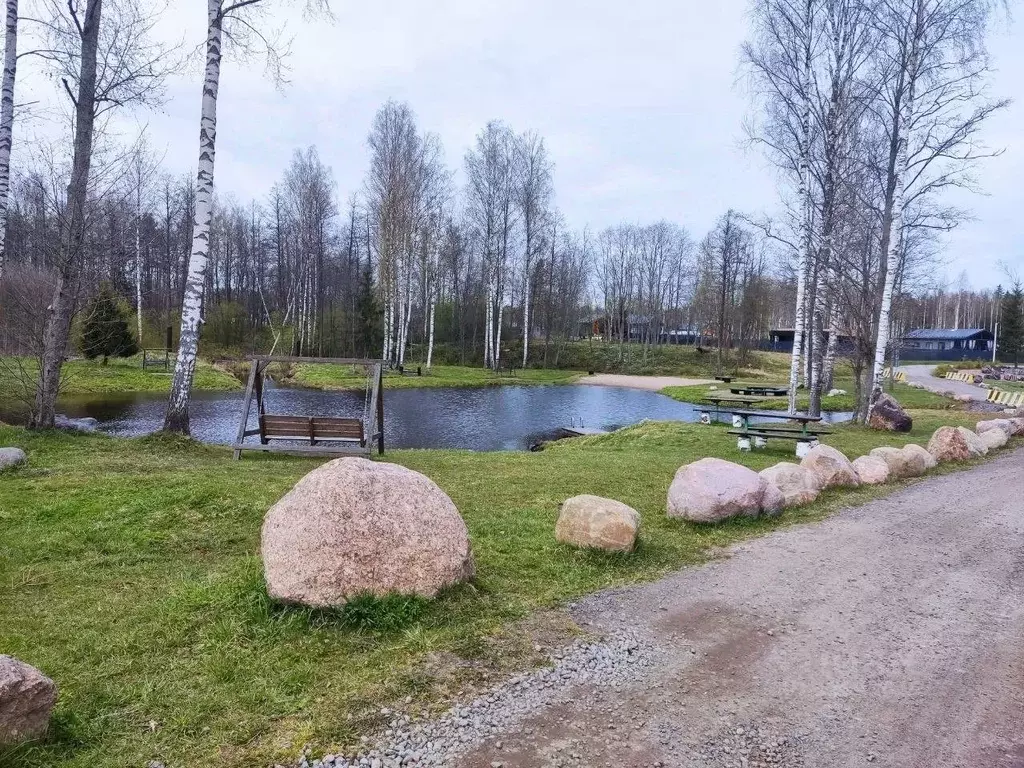 Участок в Ленинградская область, Всеволожский район, Колтушское ... - Фото 1