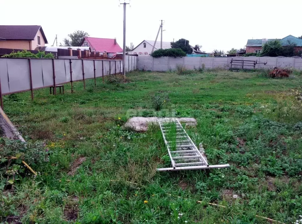 Участок в Белгородская область, Белгородский район, Беломестненское ... - Фото 0