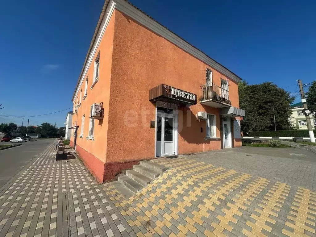 1-к кв. Воронежская область, Хохольский рп ул. Ленина, 17 (28.8 м) - Фото 0